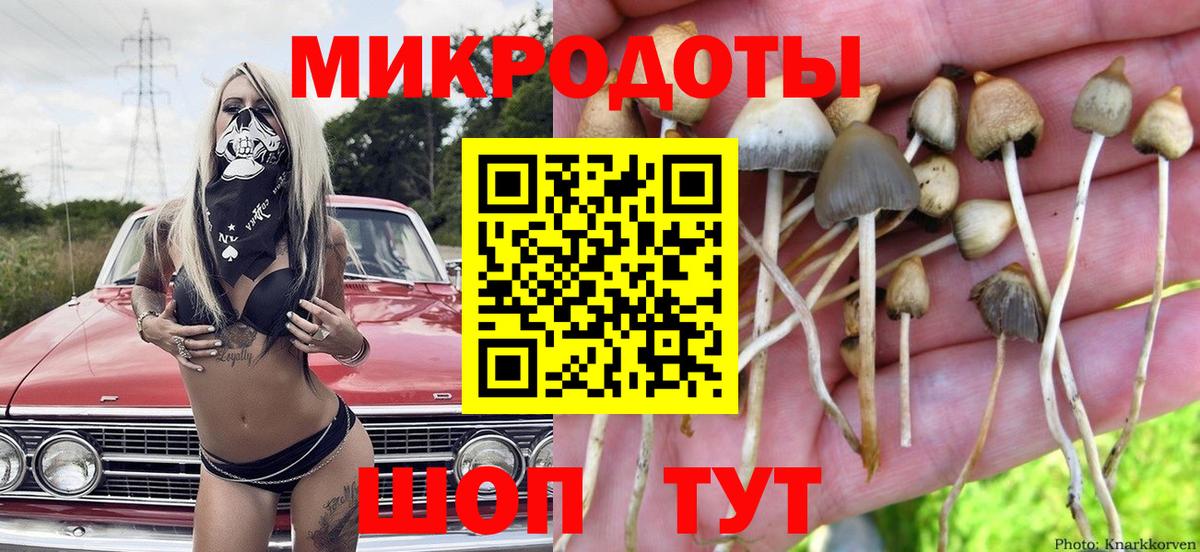 Нижнекамск  Псилоцибиновые грибы Psilocybine cubensis  Вход с VPN 